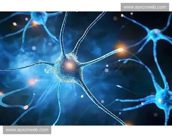 神经渲染技术缩短制作时间，虚拟场景逼真度大增